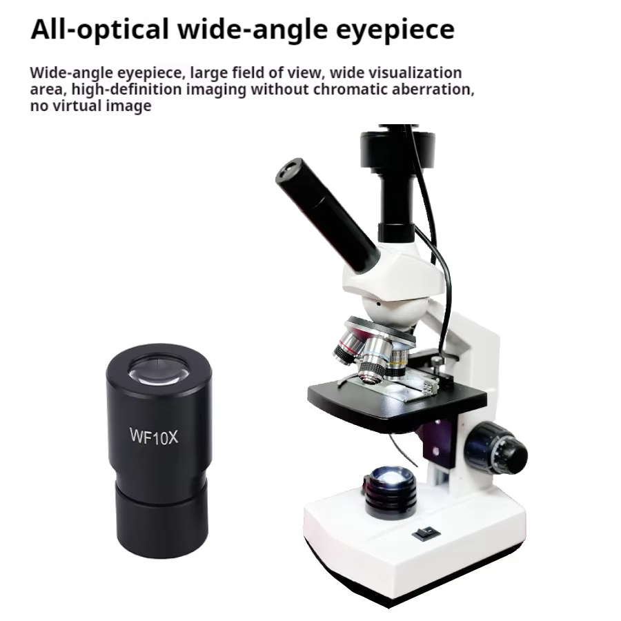 Top Selling HD Screen Digital  - Medical Lab Usa 评论和价格